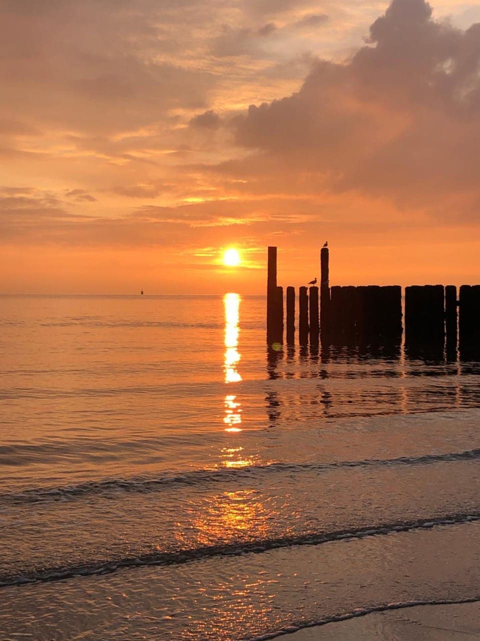 Natural landscape, Beach, Sea view, Sunset