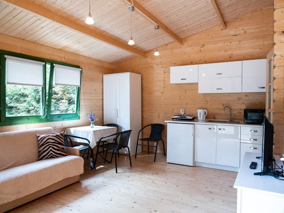 Kitchen or kitchenette, Living room, Seating area, pet friendly