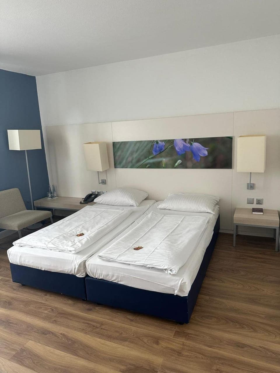 Photo of the whole room