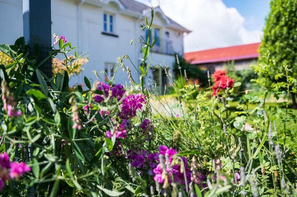 Ballyknocken Milking Parlour Self Catering Apartment Apartment in Wicklow, Co. Wicklow, Ireland