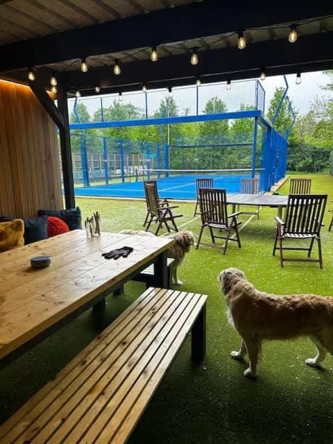 Forest Lodge with Hot Tub & Padel Tennis Court House in Northern Ireland