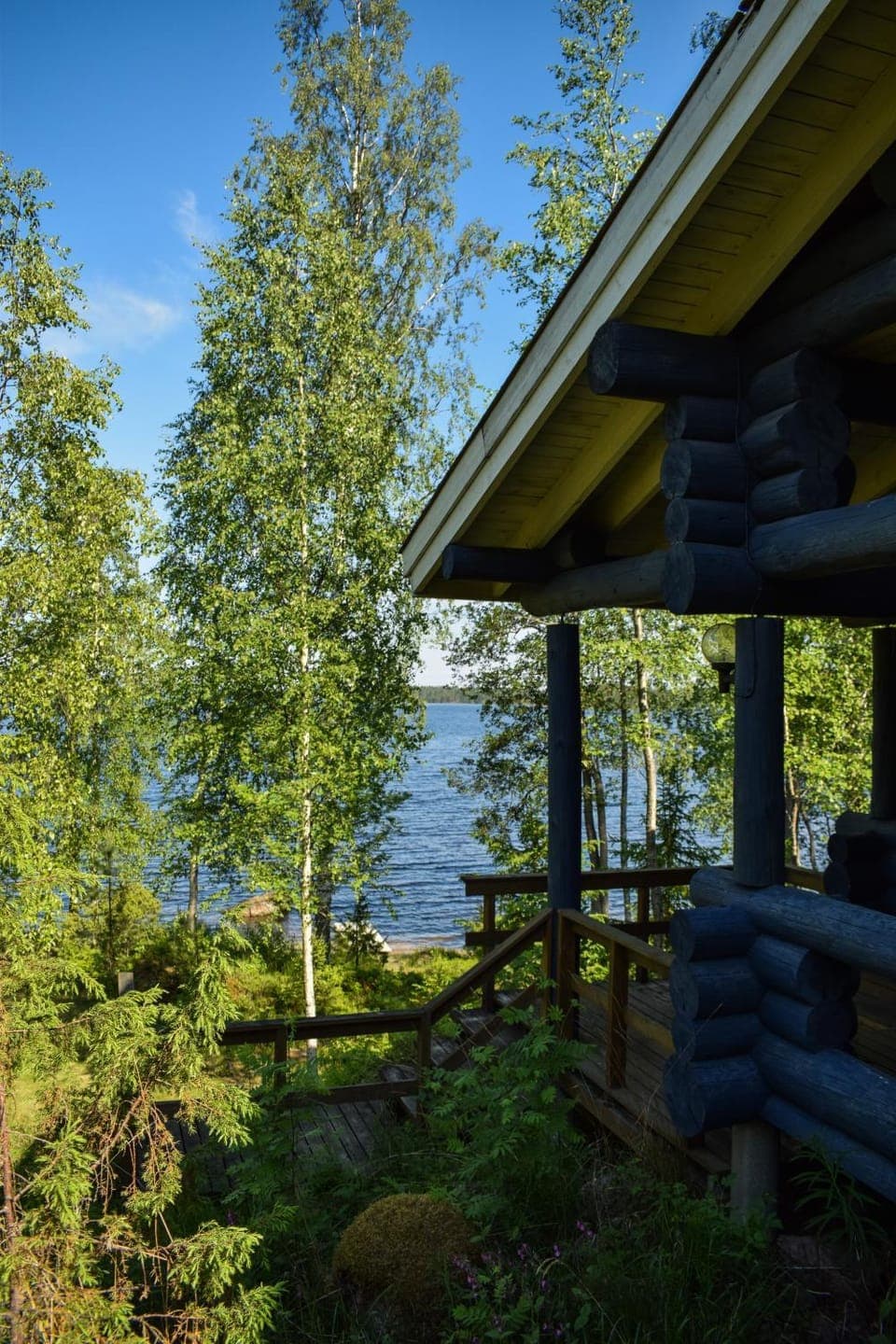 Lake view