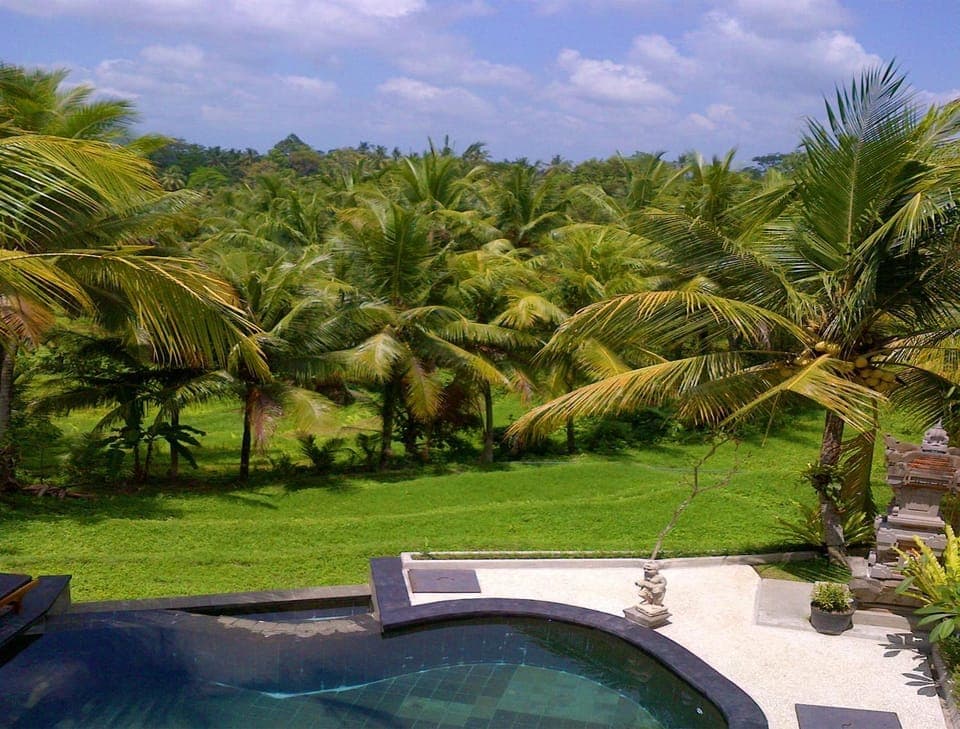 View (from property/room), Swimming pool