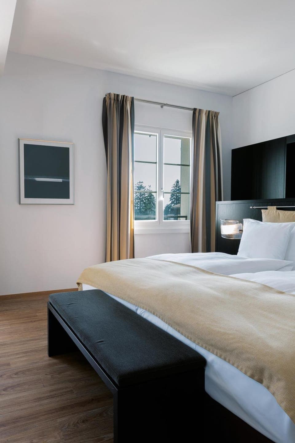 Bed, Photo of the whole room
