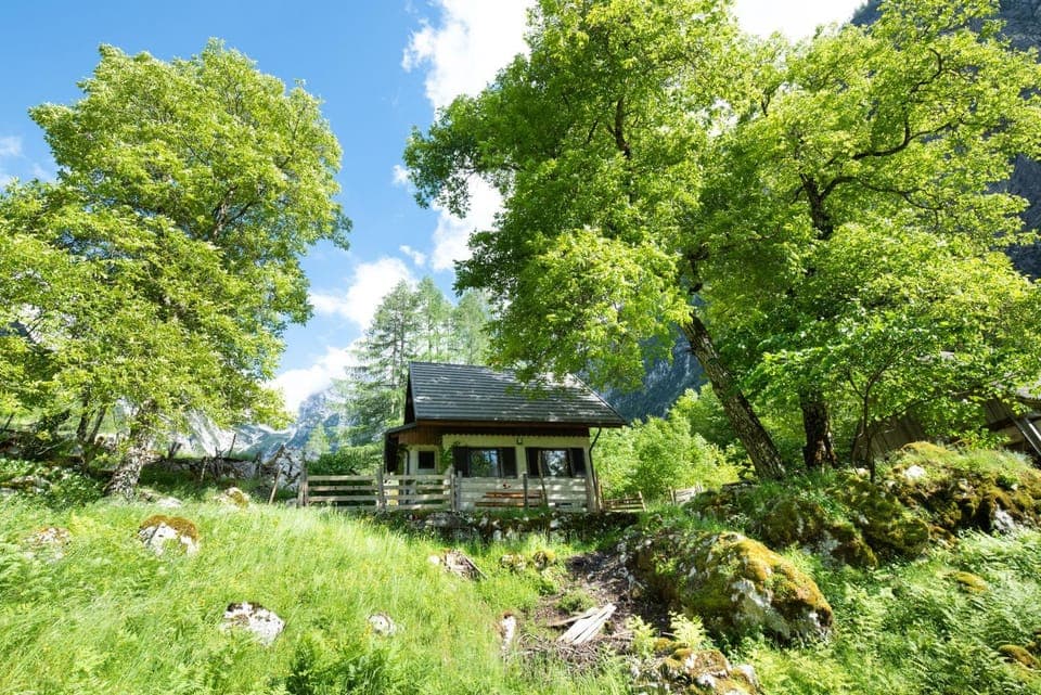 Property building, Day