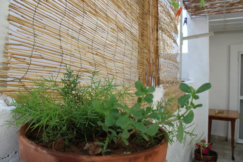 Inner courtyard view