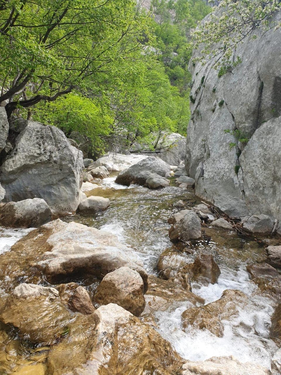 Natural landscape