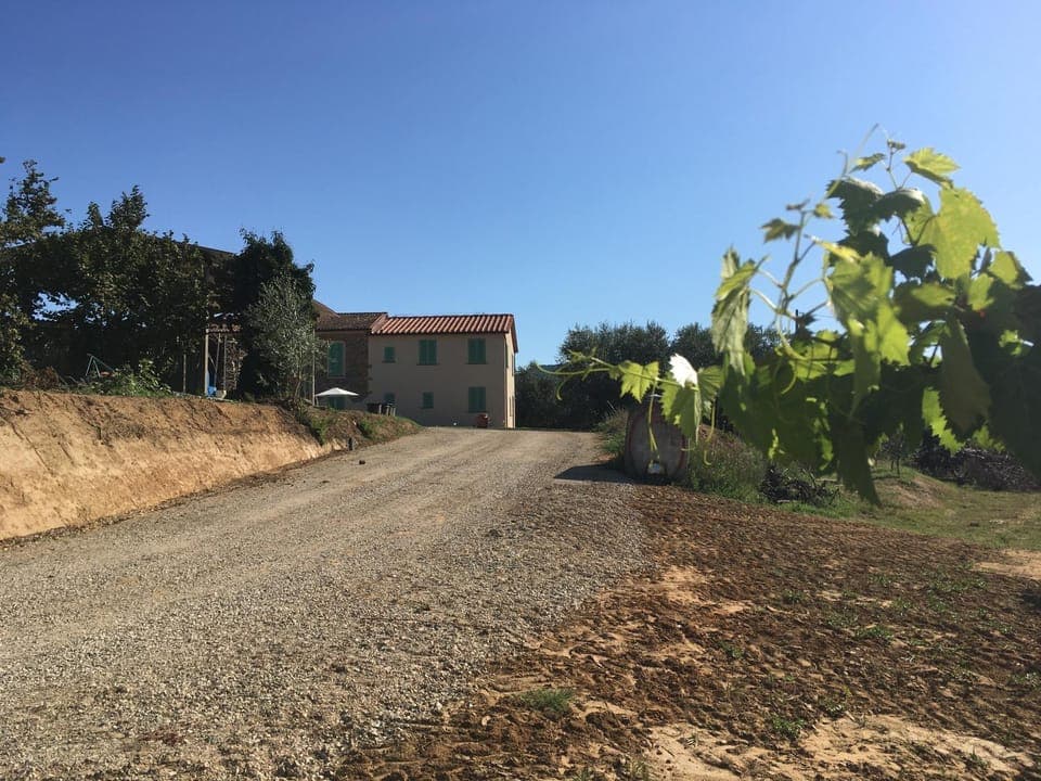 Property building, Neighbourhood, Garden