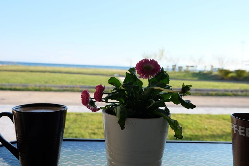 Natural landscape, Garden, View (from property/room)