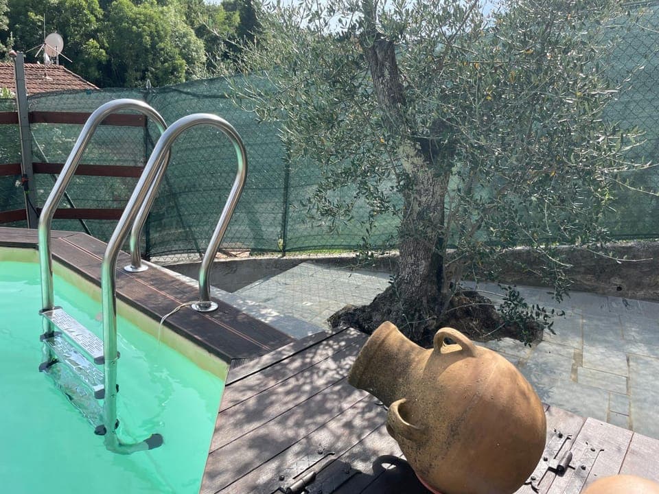 Natural landscape, Garden, Garden view, Pool view, Swimming pool