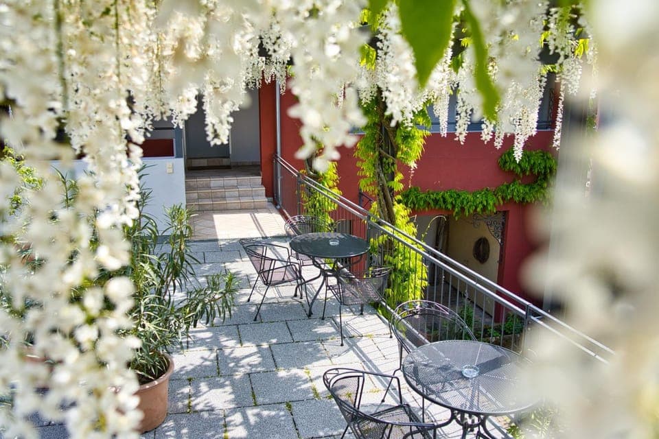 Spring, Day, Balcony/Terrace