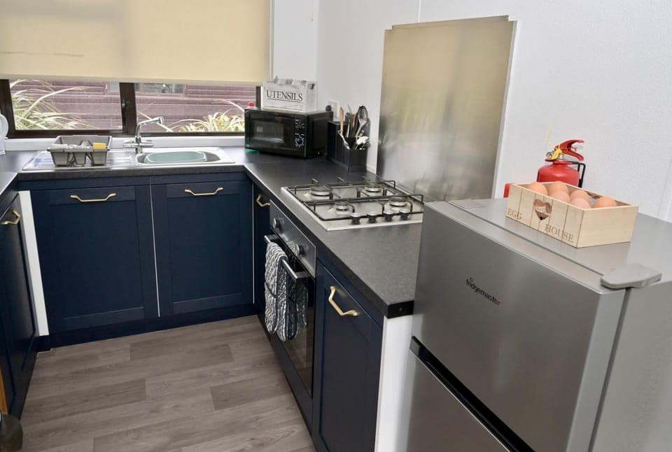 Kitchen or kitchenette, oven, pet friendly, stove