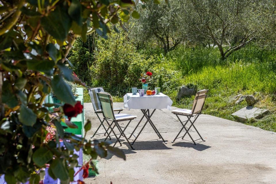 Patio, Garden, Balcony/Terrace