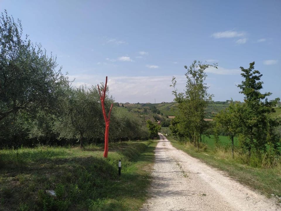 Other, On site, Area and facilities