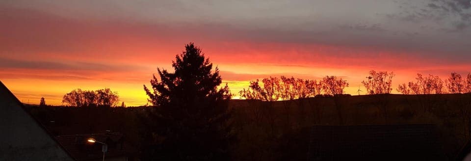 View (from property/room), Garden view, Sunrise