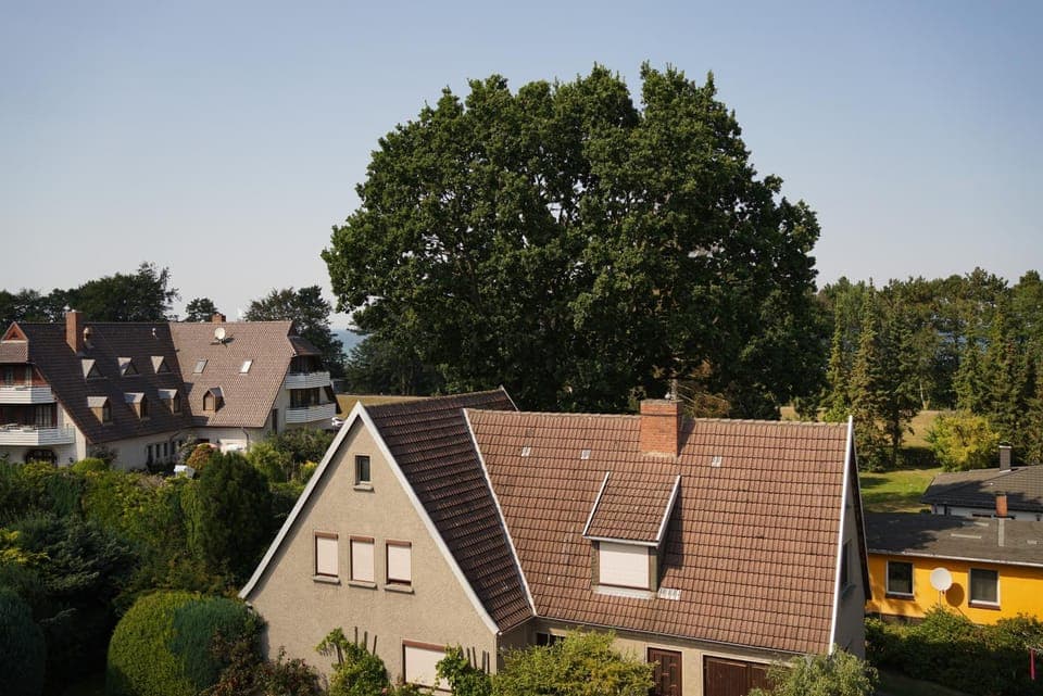 Garden view, Sea view