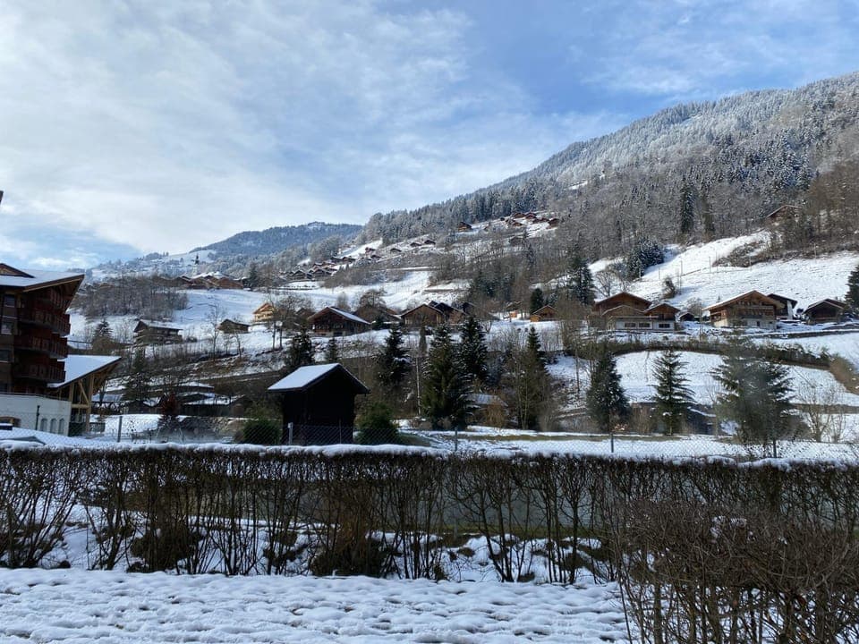 Natural landscape, Winter