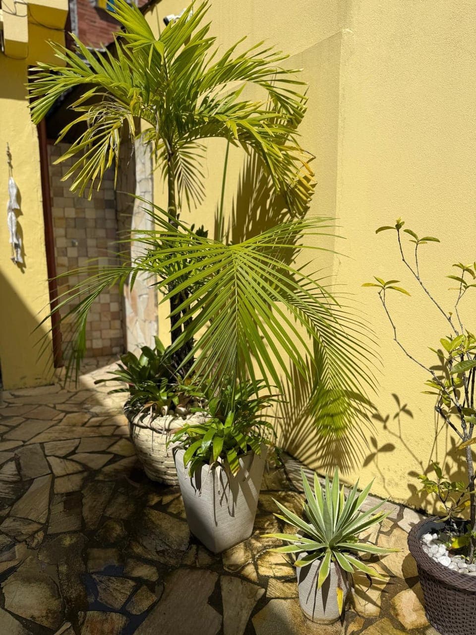 Flats Jordão Apartment in Angra dos Reis