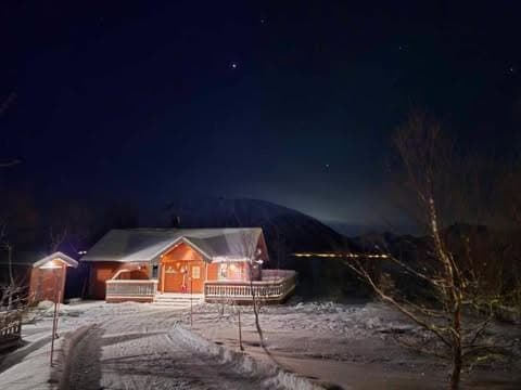 Property building, Night, Winter