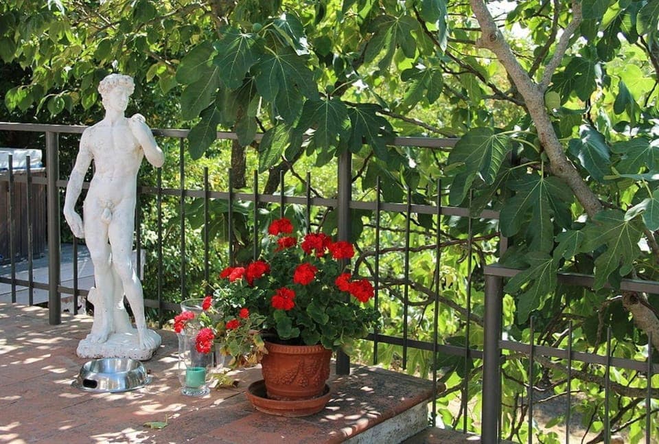 Balcony/Terrace, Decorative detail