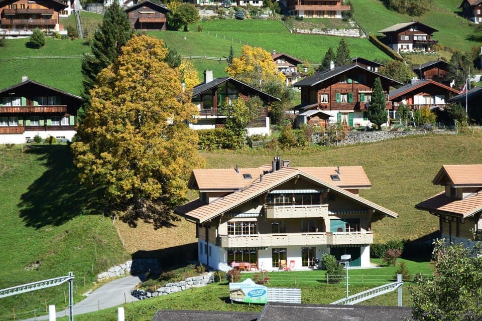 Facade/entrance, Bird's eye view, Summer