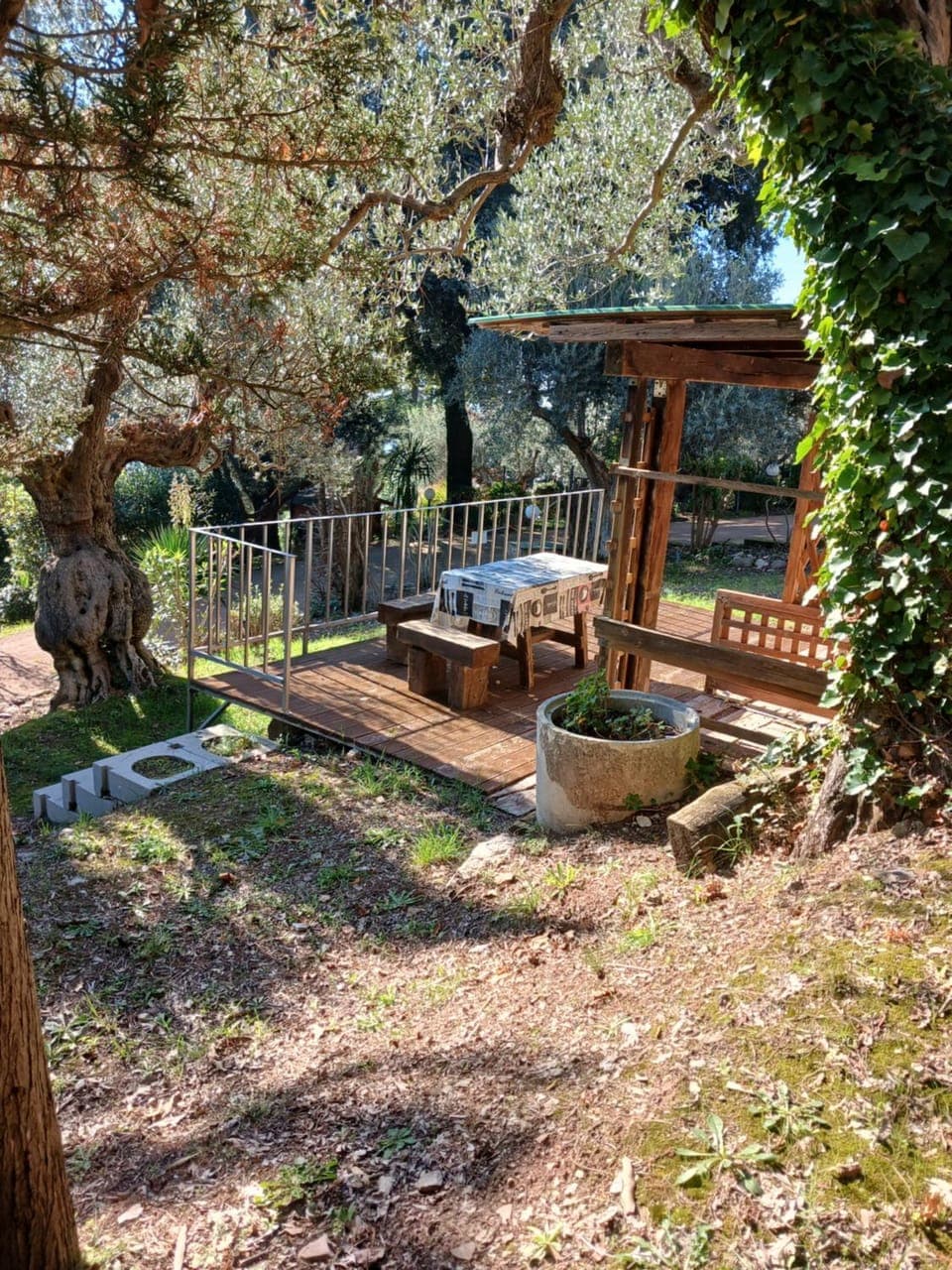 Patio, Balcony/Terrace