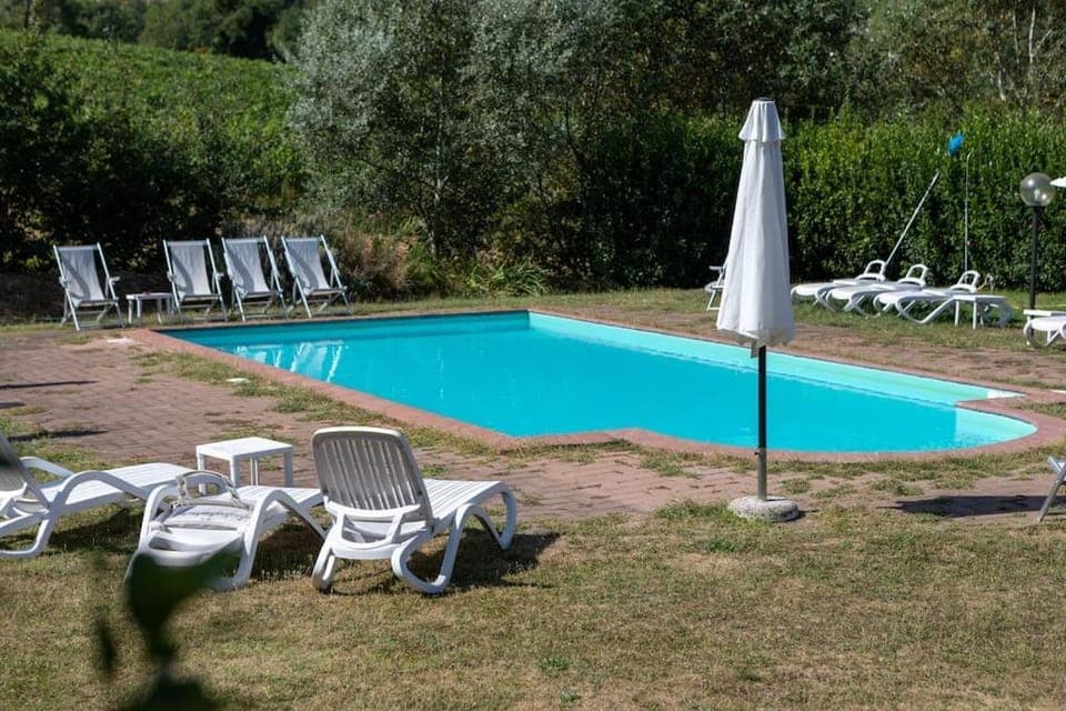 Natural landscape, Garden, Garden view, Pool view, Swimming pool, sunbed