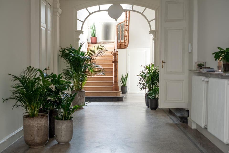 Property building, Lobby or reception