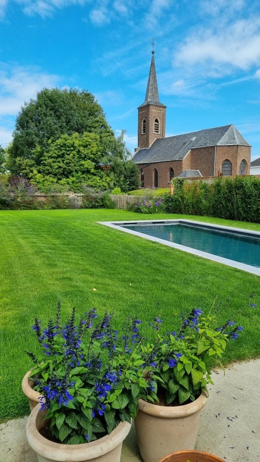 Day, Garden, Swimming pool