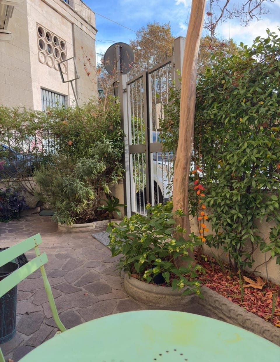 Patio, Garden, Garden view