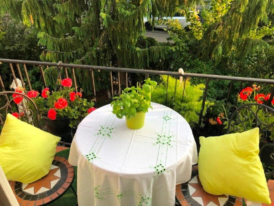 View (from property/room)