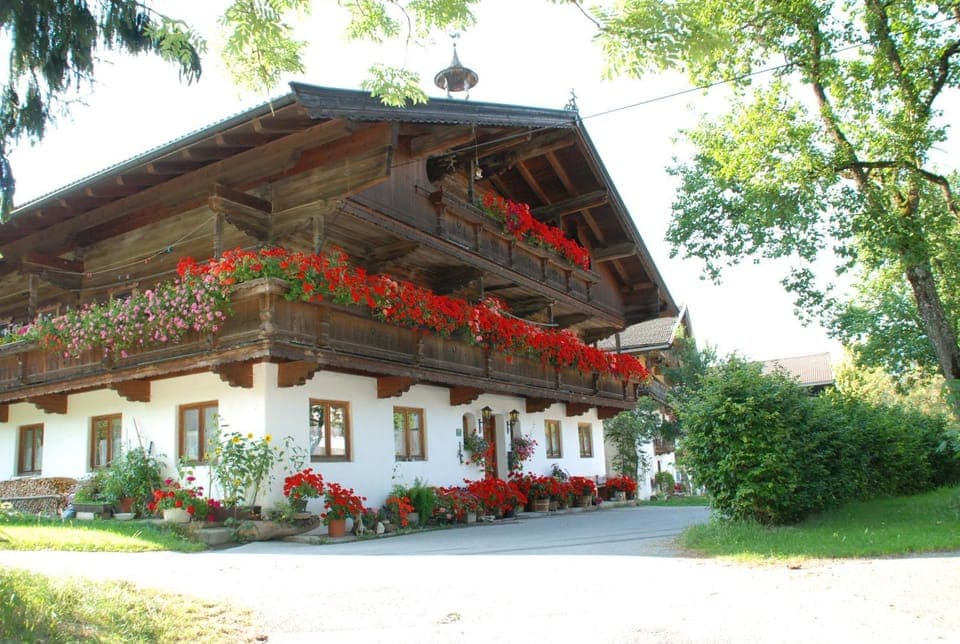 Property building, Day