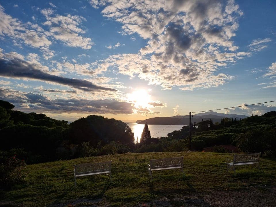 Natural landscape, Garden