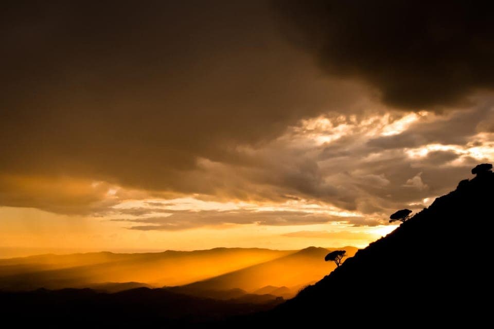 Natural landscape, View (from property/room)