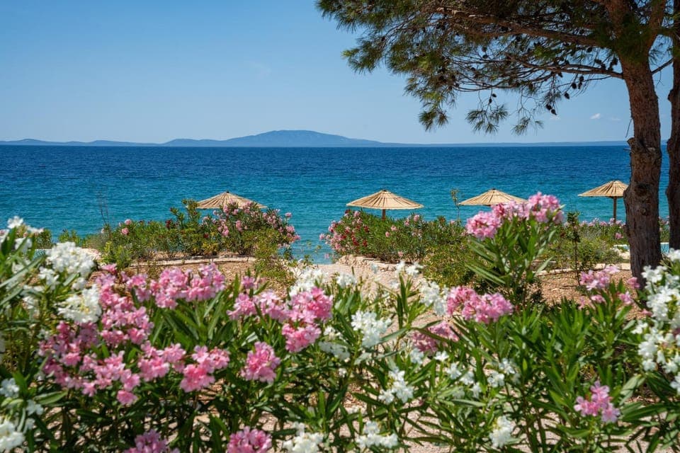 Beach, Beach, Sea view