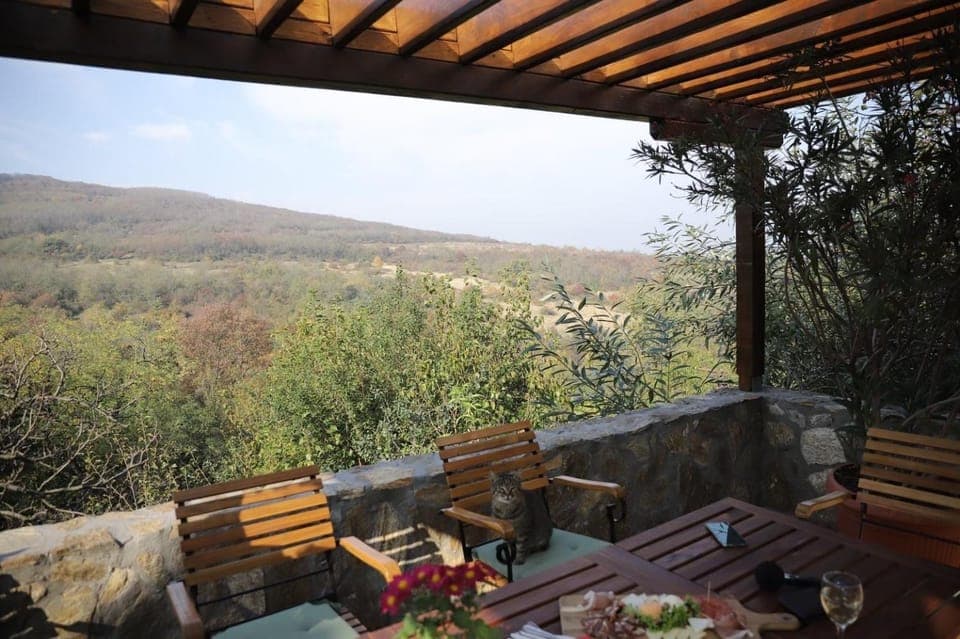 Patio, Spring, Day, Natural landscape, View (from property/room), Balcony/Terrace, Seating area, Mountain view
