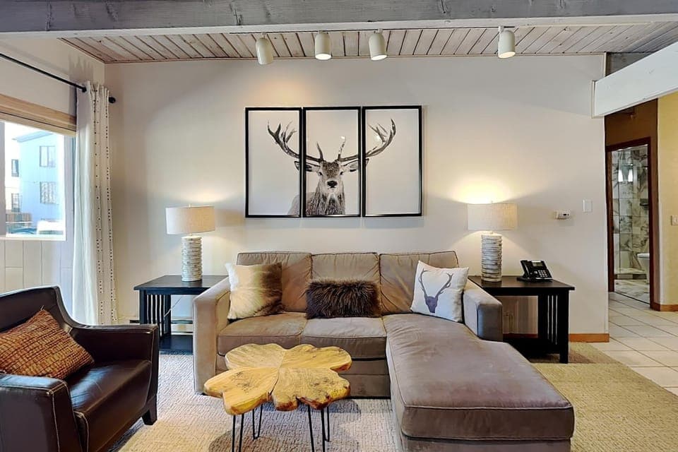 Timberline Condominiums 1 Bedroom Deluxe Unit B1B House in Snowmass Village