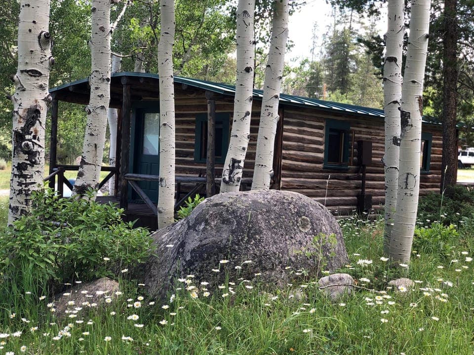 Property building, Summer