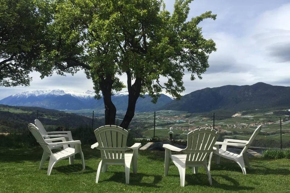 Garden, Mountain view