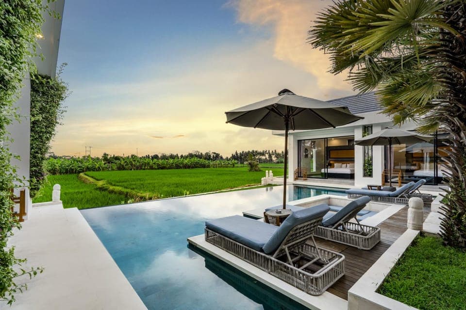 Garden, Garden view, Pool view, Swimming pool, sunbed