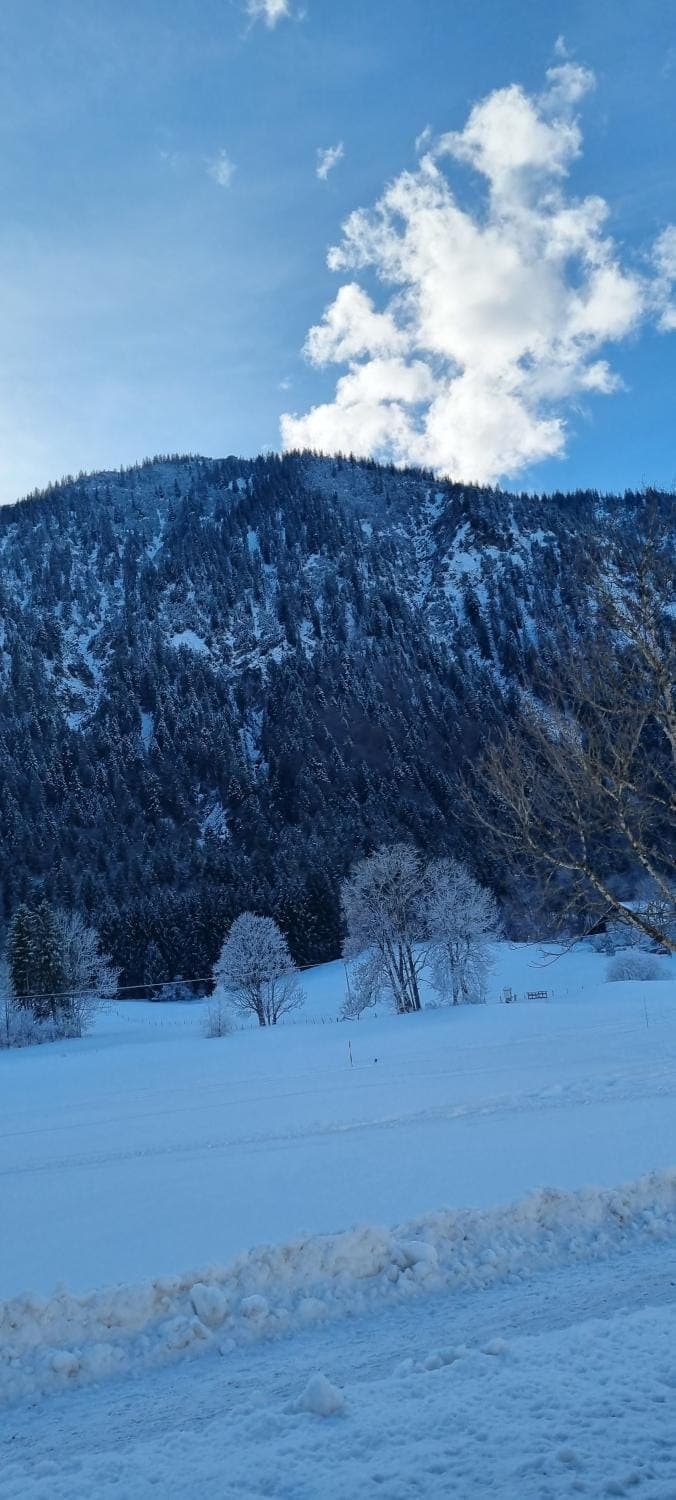 Nearby landmark, Winter