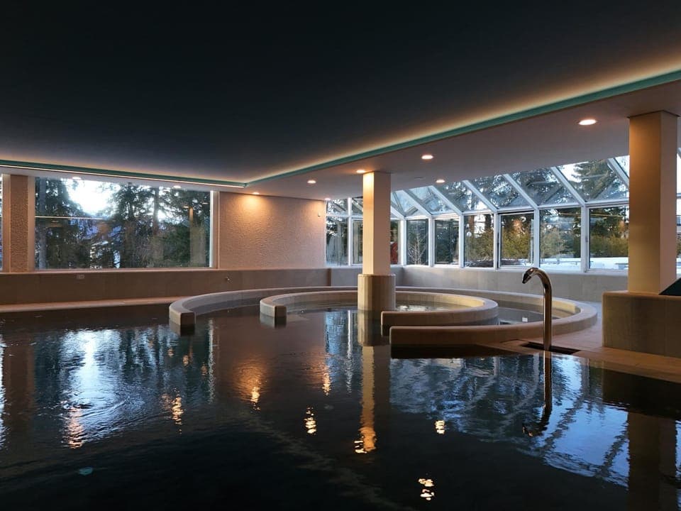 Spa and wellness centre/facilities, Swimming pool