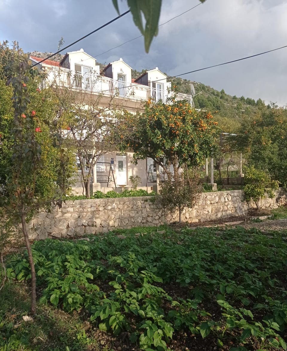 Property building, Neighbourhood