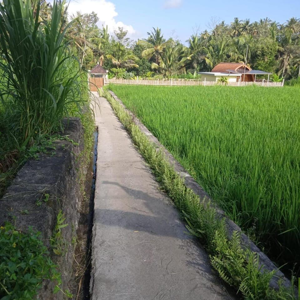 Natural landscape, Garden