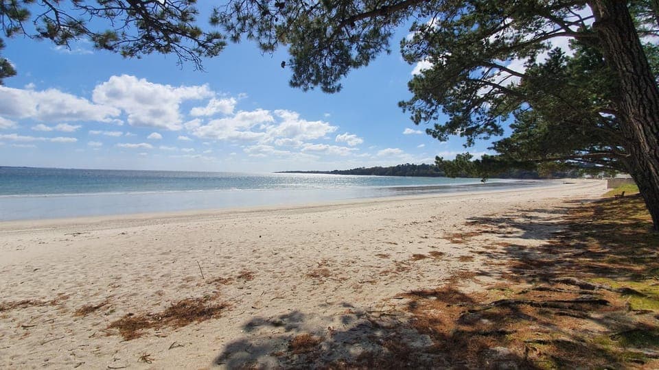 Natural landscape, Beach, Hiking
