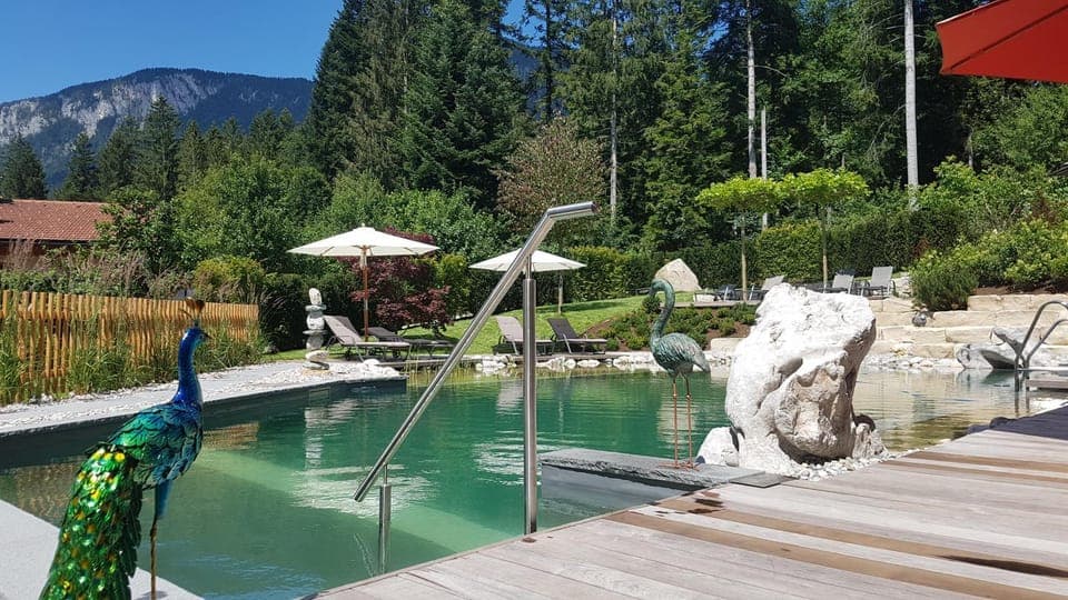 Swimming pool, Swimming pool