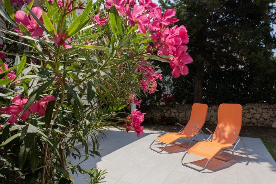 Day, Garden, Garden view, sunbed