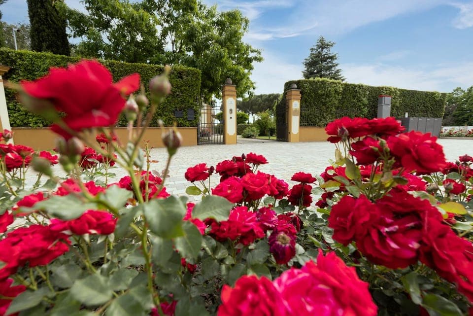 Facade/entrance, Spring, Day, Garden, Garden view