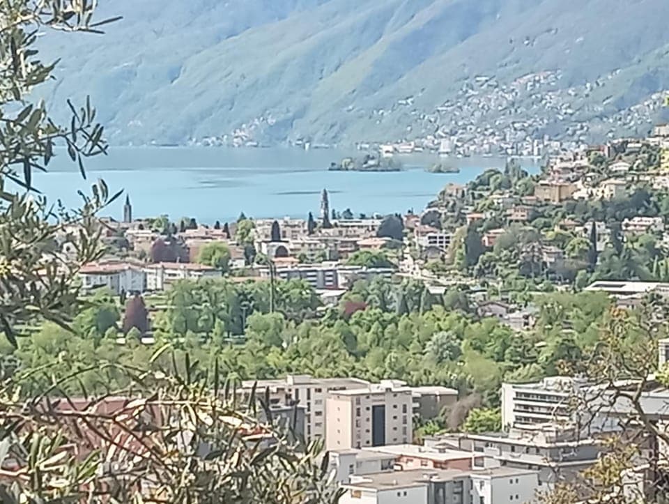 Lake view