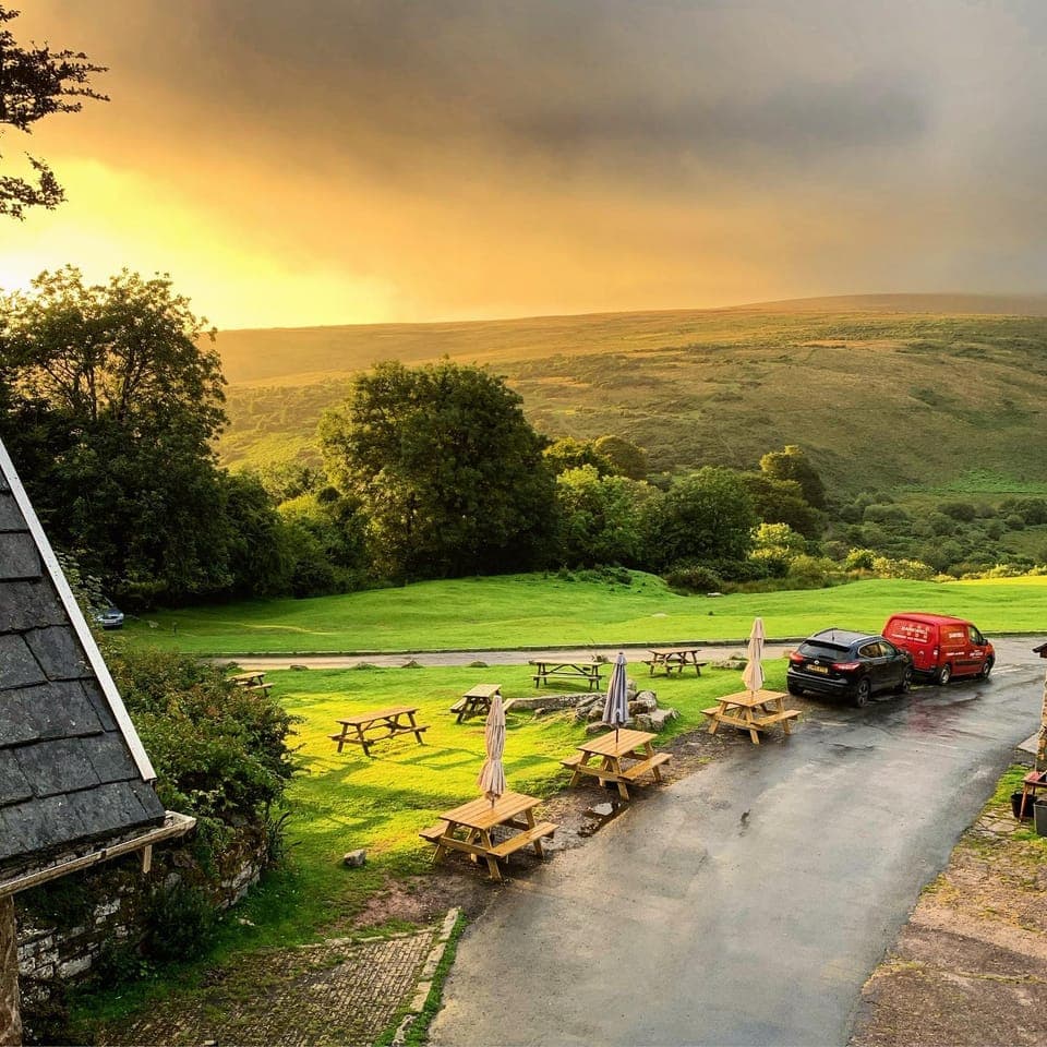 Garden, Garden view, Sunrise